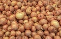 Onions at a market shop sold at a farmers market stall