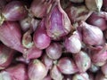 onions are not good if you eat too much of them Royalty Free Stock Photo