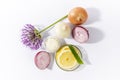 Onions, oil, cream, lemon, Aloe vera and Allium giganteum flower on white background