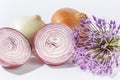 Onions and purple Allium flower close up on white background Royalty Free Stock Photo