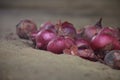 Onions with a red peel piled up on the ground Royalty Free Stock Photo