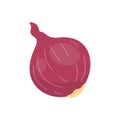 Onions ripe. red onion vegetable vector illustration in cartoon style.