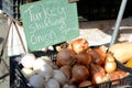 Onions for sale at a farmers market for Thanksgiving Royalty Free Stock Photo