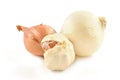 Onions, shallots, garlic and white onion Royalty Free Stock Photo