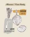 Onions sketch. Onion hand drawn set. Herbs and spices vector ill