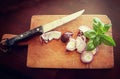 onions slices and basil, Mediterranean food ingredients Royalty Free Stock Photo