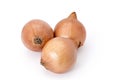Onions Royalty Free Stock Photo