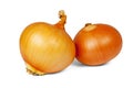 Onions Royalty Free Stock Photo