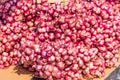 Onions use for texture or backgrounds. Royalty Free Stock Photo