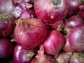 Onions value of market Royalty Free Stock Photo