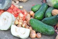 Onions and wax gourd Royalty Free Stock Photo