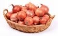 Onions on white background, studio shot