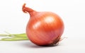 Onions on white background, studio shot