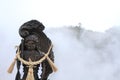 Oniyama jigoku hell in Beppu, Oita