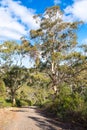 Onkaparinga River National Park panoramic view Royalty Free Stock Photo
