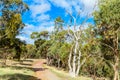Onkaparinga River National Park trail Royalty Free Stock Photo