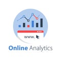 Online analytics, web statistic, internet big data, website usage report