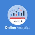 Online analytics, web statistic, internet big data, website usage report