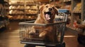 online dog shopping cart Royalty Free Stock Photo