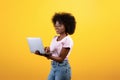 Online education programs. Excited african american lady using newest laptop computer, standing over yellow background Royalty Free Stock Photo