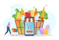 Online grocery store, tiny character woman purchase foodstuff internet shopping flat vector illustration, isolated on