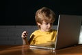 Online learning. Online school. Child blogging in internet, concentrated boy with laptop at home. Kids on the internet