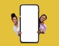 Online Offer. Two Beautiful Smiling Black Women Peeking Out Behind Blank Smartphone Royalty Free Stock Photo