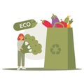 Online order concept. Woman buying vegetables. huge shopping paper bag full of fresh grocery Royalty Free Stock Photo