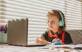 Online remote learning. School kids with computer having video conference chat with teacher in class. Child studying at Royalty Free Stock Photo