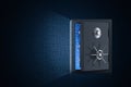 Online security concept