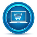 Online shopping cart laptop icon eyeball blue round button