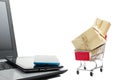 Online shopping concept - Empty Shopping Cart Royalty Free Stock Photo