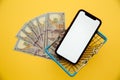 Online shopping concept. Money, basket and smartphone isolated on yellow background