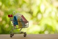 Online shopping, e-commerce concept: Paper shopping bags in a trolley or shopping cart  in the natural green background. purchase Royalty Free Stock Photo