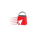 Online shopping flash sale symbol vector
