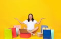 Online Shopping. Portrait Of Happy Woman With Laptop And Bright Shopper Bags Royalty Free Stock Photo