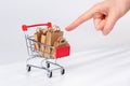 Online shopping supermarket trolley shopping bags sale store. online purchase