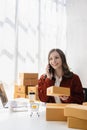 online small business owner Young startup entrepreneur, online small business, working from home with laptop and boxes. Royalty Free Stock Photo