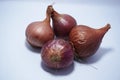 Onoin on white background. Onion is a most important condiments for cooking Royalty Free Stock Photo