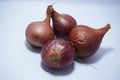 Onoin on white background. Onion is a most important condiments for cooking
