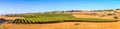 onoma County California Wine Country Panoramic Royalty Free Stock Photo