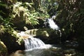 Onomea Falls flowing down a rocky hillside in a rainforest in Papaikou, Hawaii Royalty Free Stock Photo