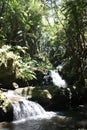 Onomea Falls flowing down a rocky hillside in a rainforest in Papaikou, Hawaii, on a sunny day
