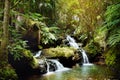 Onomea Falls located in Hawaii Tropical Botanical Garden on the Big Island of Hawaii