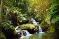 Onomea Falls located in Hawaii Tropical Botanical Garden on the Big Island of Hawaii