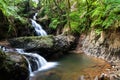 Onomea waterfall, Hawaiian Tropical Botanical Garden, Hili, Hawaii. Surrounded by tropical forest, pool and rocks below. Royalty Free Stock Photo