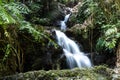 Onomea waterfall, Hawaiian Tropical Botanical Garden, Hili, Hawaii. Surrounded by tropical forest, pool and rocks below.