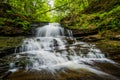 Onondaga Falls, at Ricketts Glen State Park, Pennsylvania