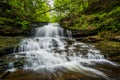 Onondaga Falls, at Ricketts Glen State Park, Pennsylvania