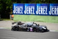 Onroak Automotive Ligier Sports Prototype Royalty Free Stock Photo